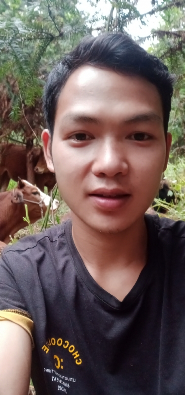 等AI的第一张照片--认干亲服务网