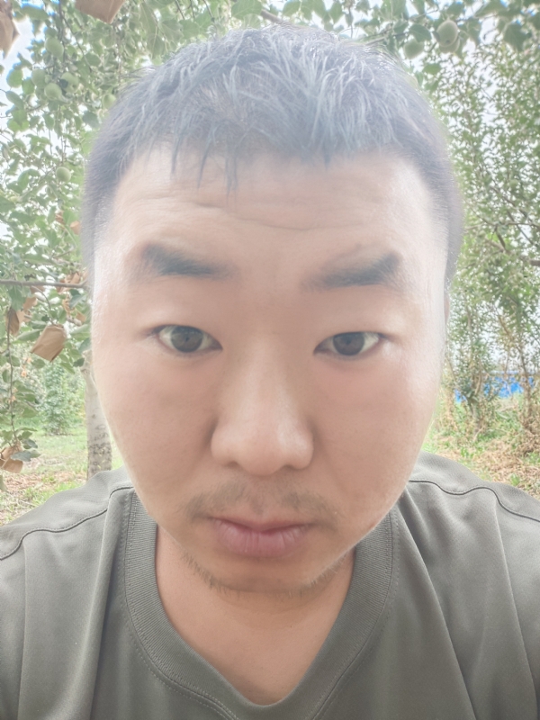 明天的第一张照片--认干亲服务网