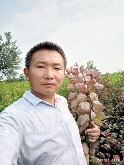 孩子爸的第一张照片--认干亲服务网