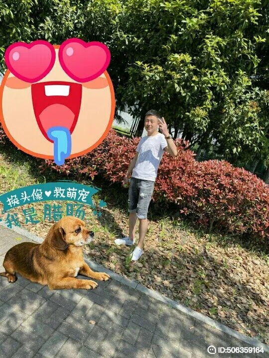 我若不坚强谁替我勇敢的第五张照片--认干亲服务网