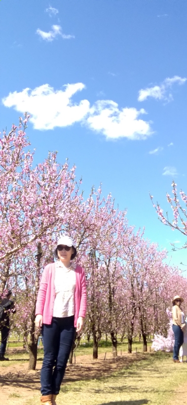 Grace的第二张照片--认干亲服务网