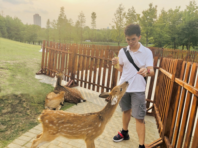 米兰的小铁匠的第一张照片--认干亲服务网