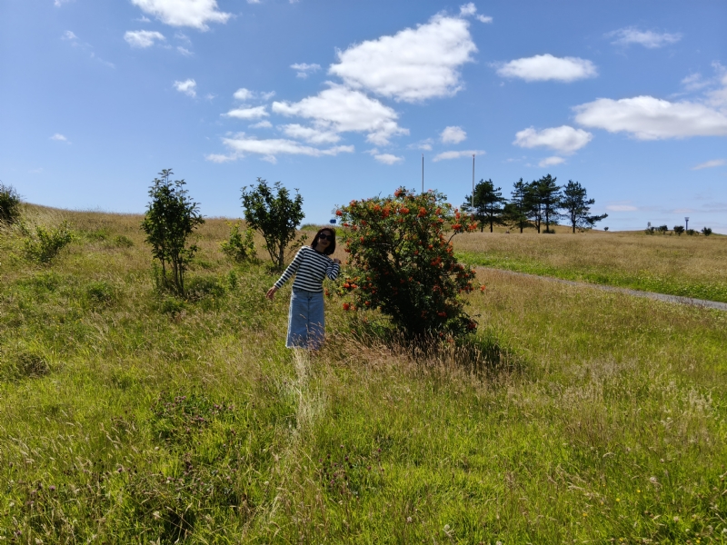秋蝉的第一张照片--认干亲服务网