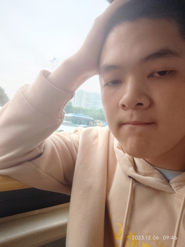 孤独的狼的第一张照片--认干亲服务网