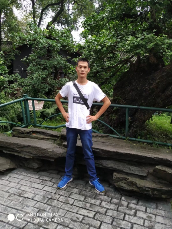 会飞的猪的第一张照片--认干亲服务网