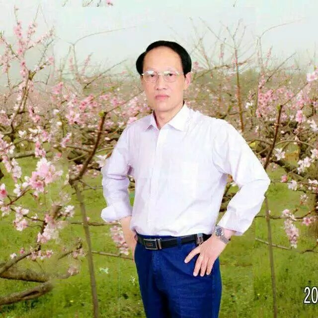 枫叶的第一张照片--认干亲服务网